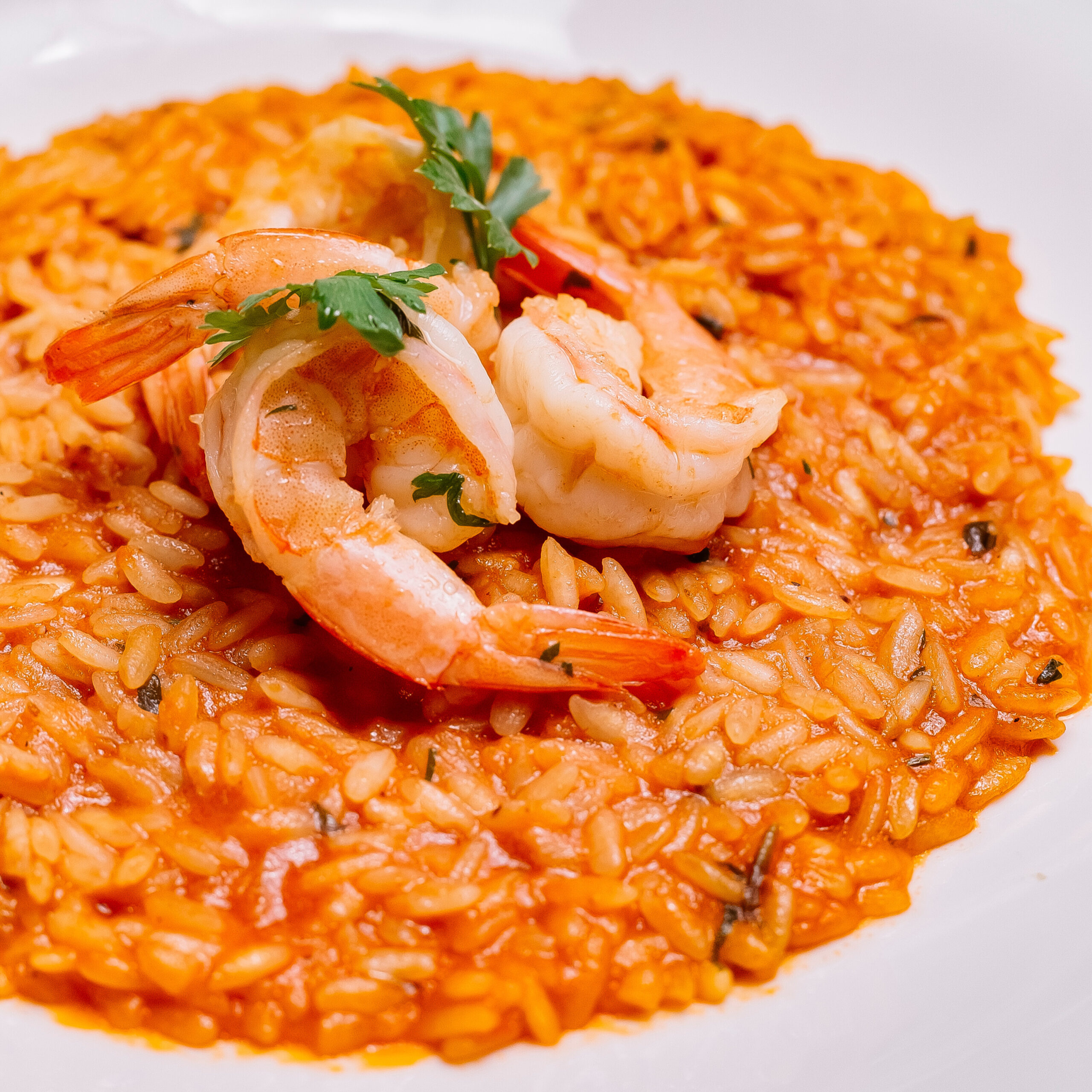 Arroz Caldoso de Pescado y Marisco Sin Gluten